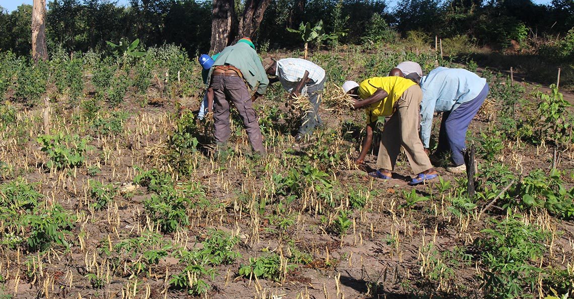 CETI Didácio Silva realiza 1ª Gincana Ecológica